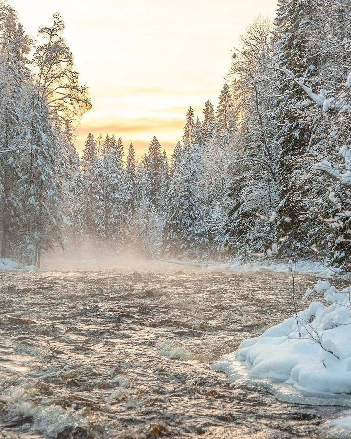 , Петр Косых
