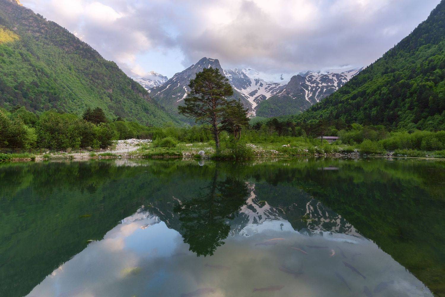 , Юлия Мальцева