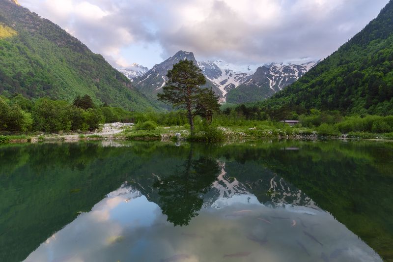 фото превью