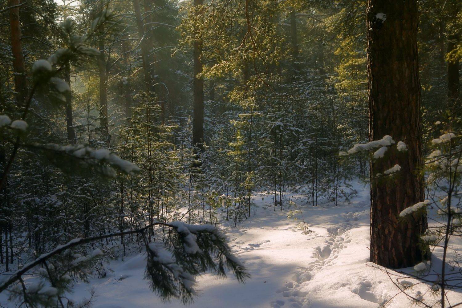 , Евгений Зинов