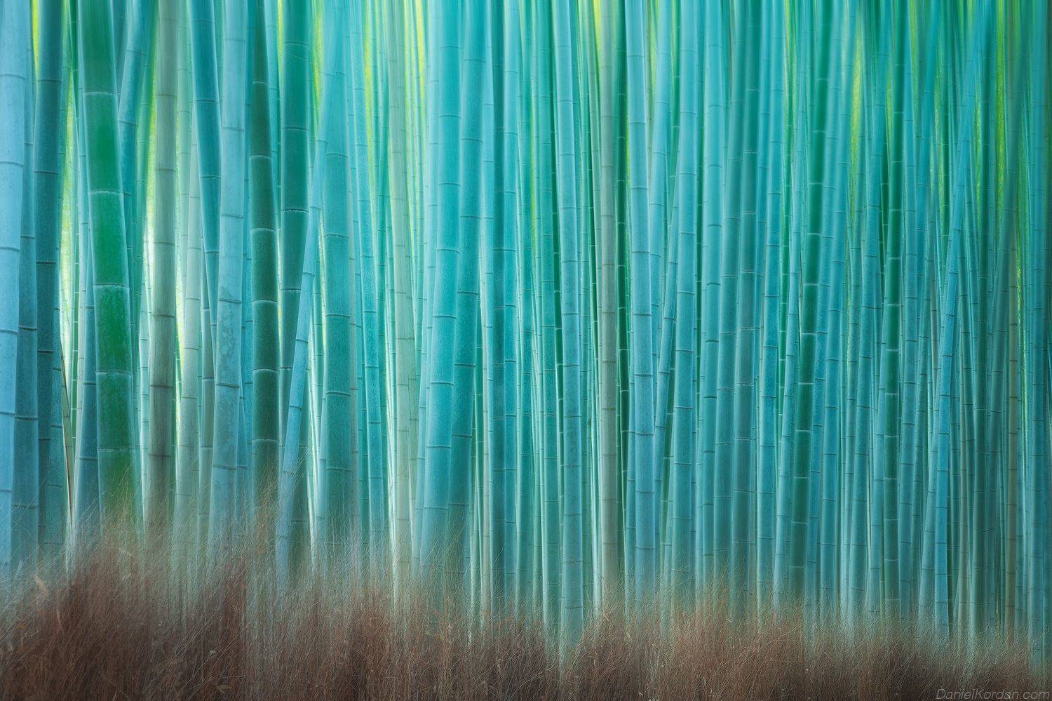 , Даниил Коржонов