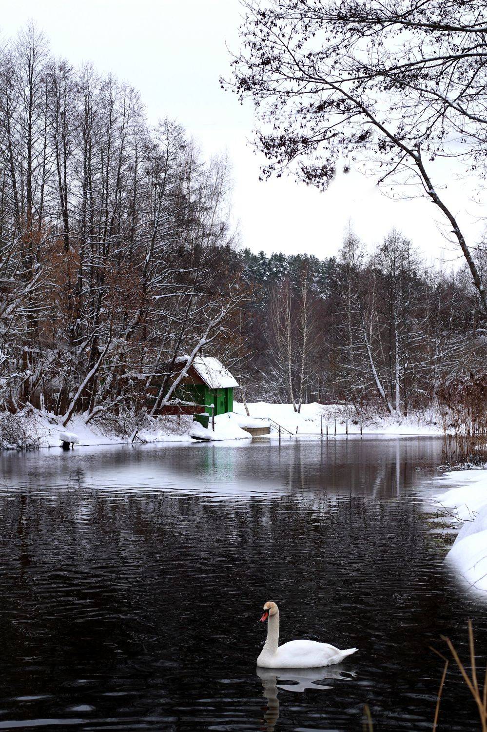 , Евгений Белов