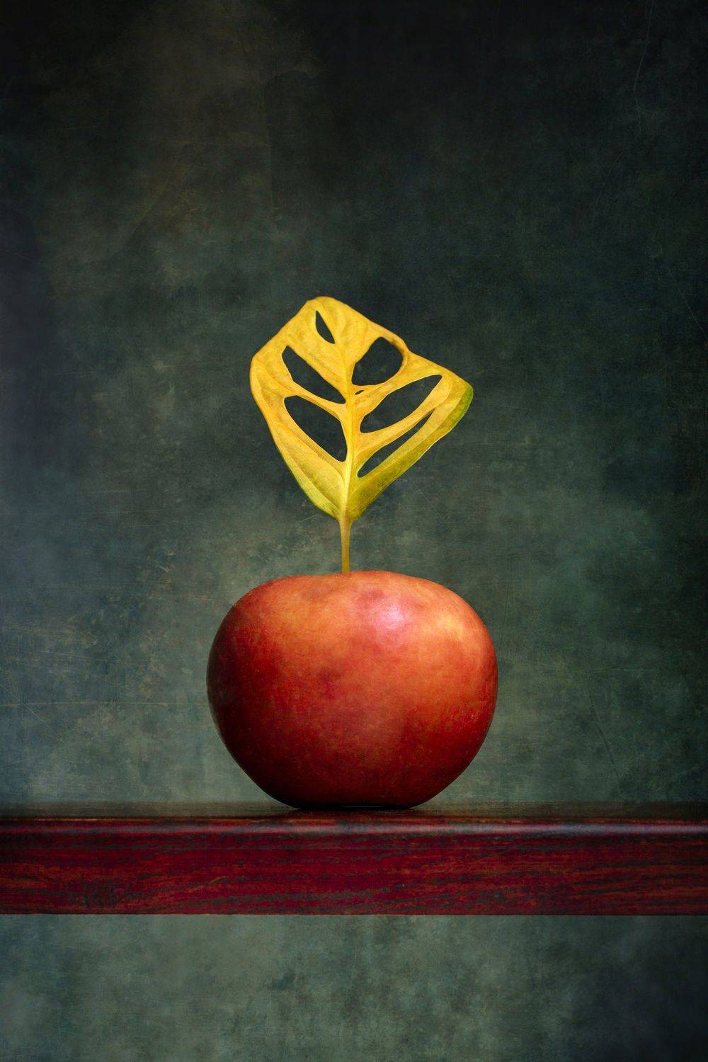 , Иванцов Валентин