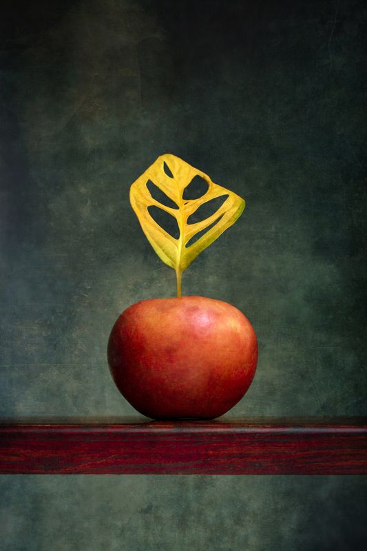 Красное яблоко фото превью