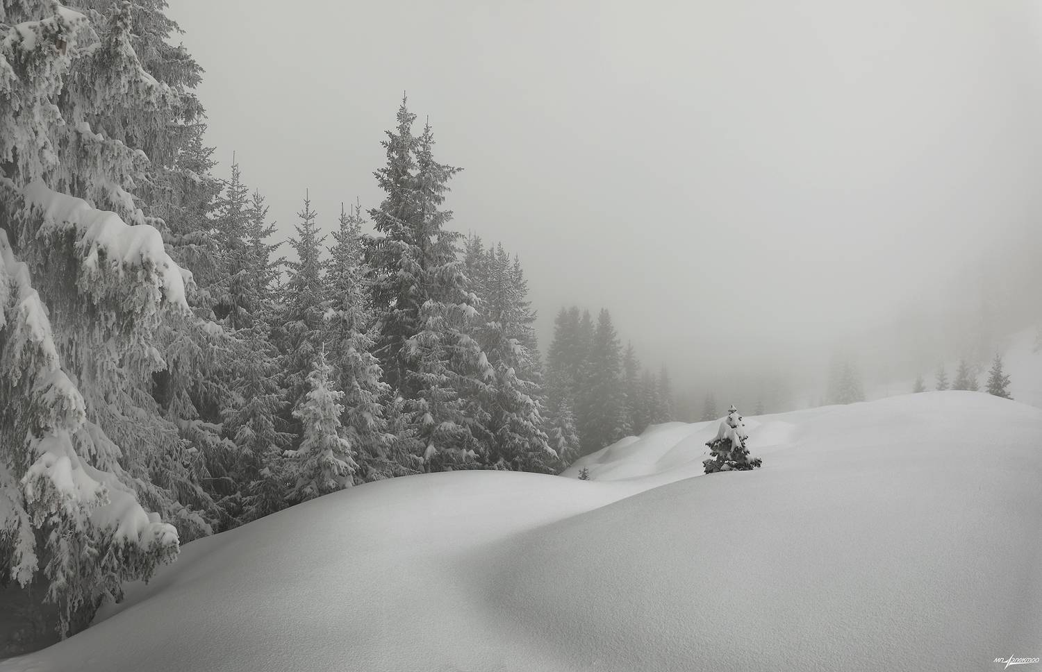 swiss,bettmeralp,зима.швейцария, Матвеев Николай