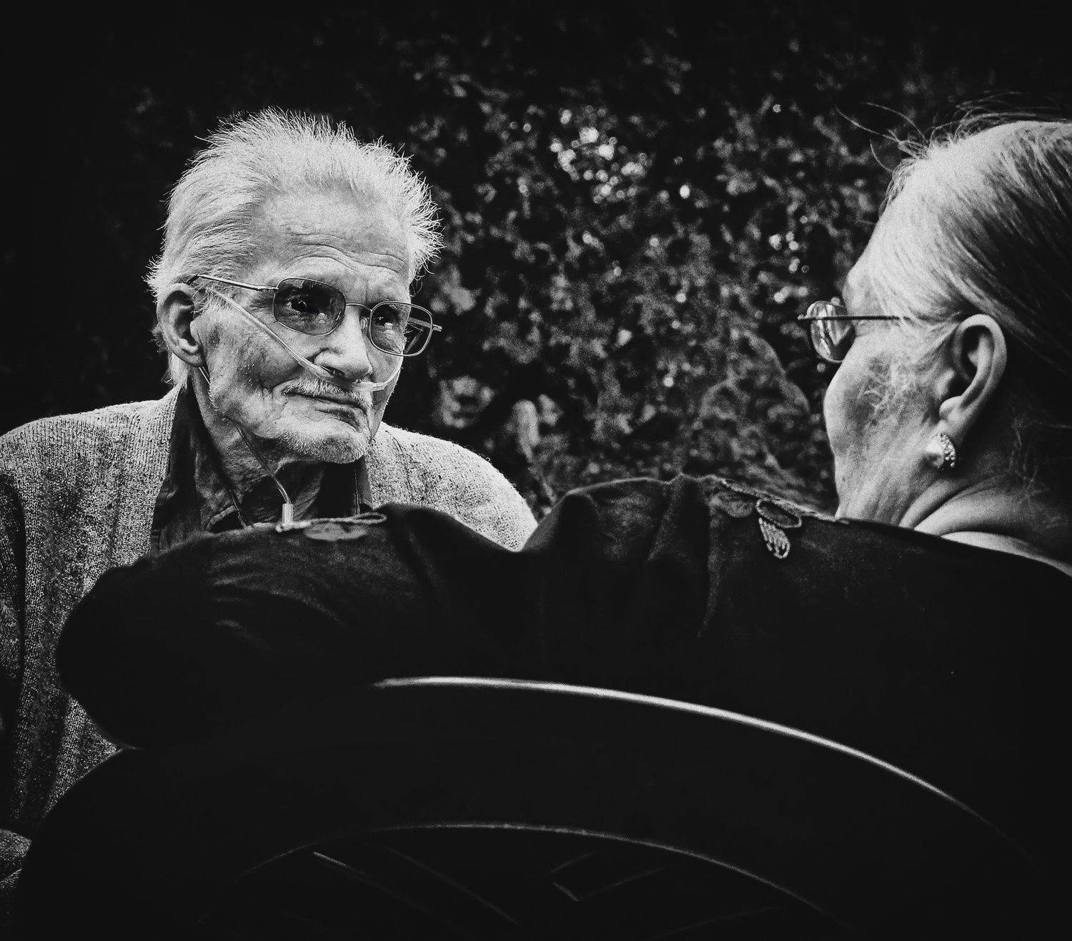 , Елена Лаврова