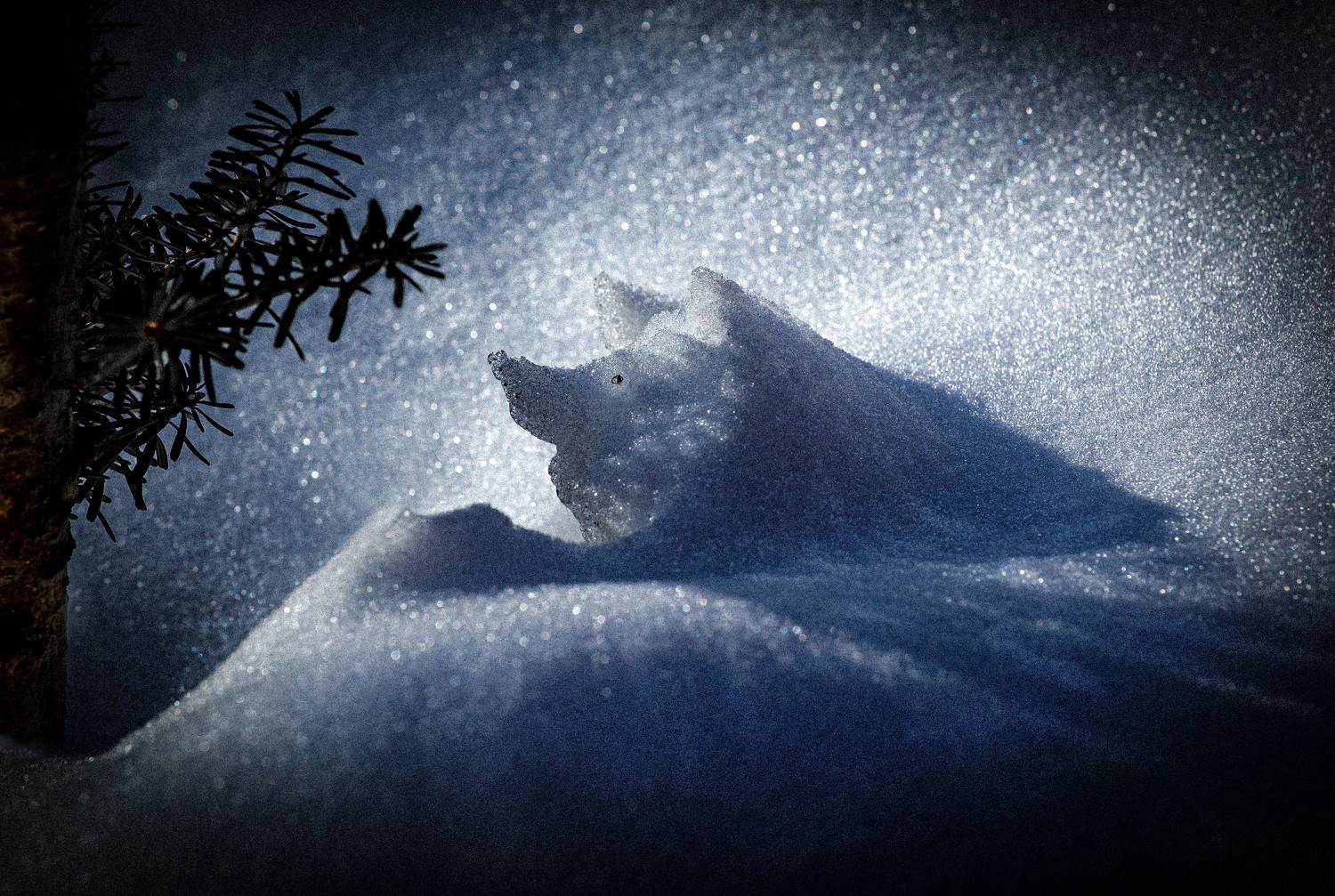 , Черновол Валентин