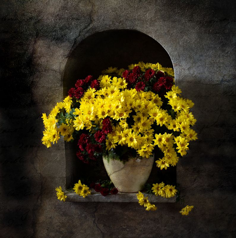 натюрморт, цветы, хризантемы Хризантемы осени фото превью