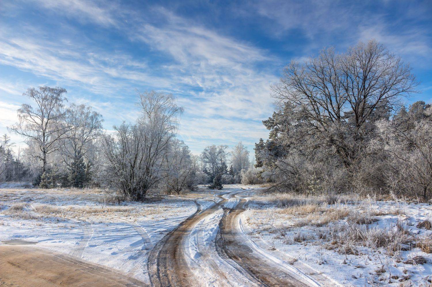 лес, деревья, зима, иней, природа, Востриков Руслан