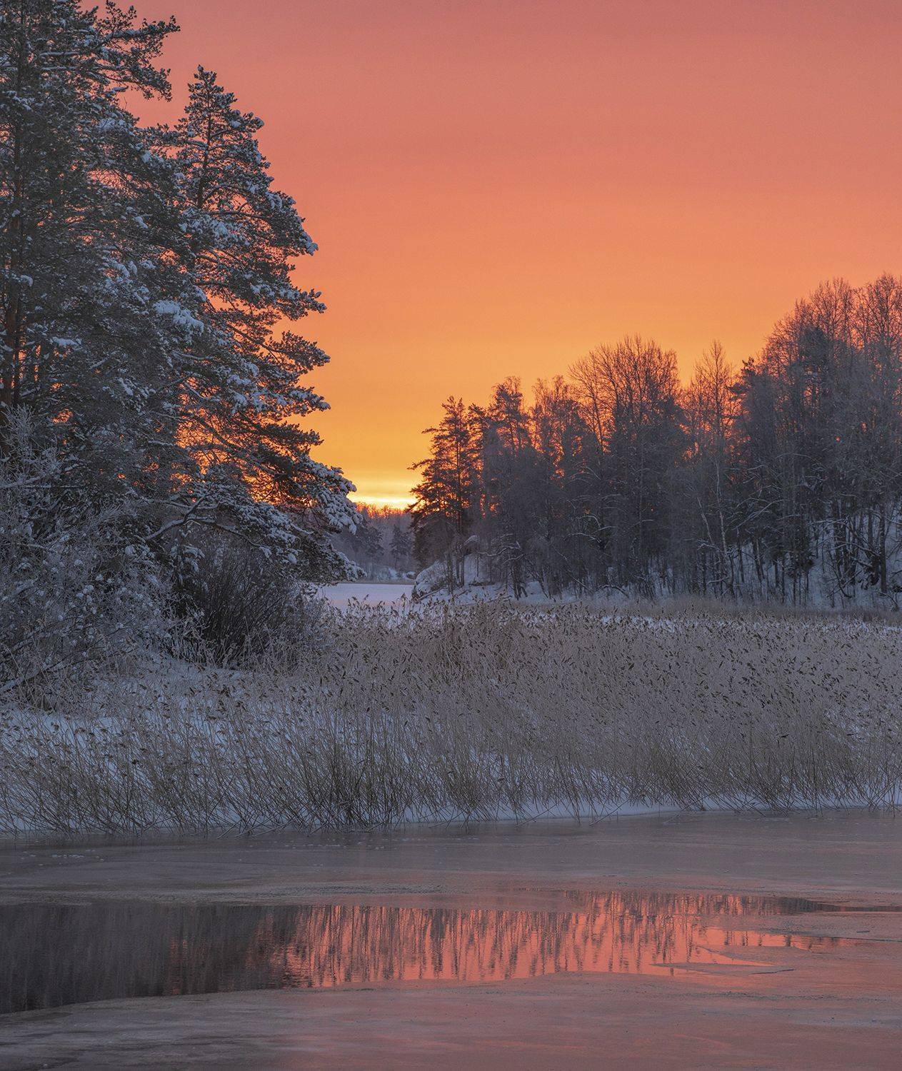, Смыков Александр(OmRam)