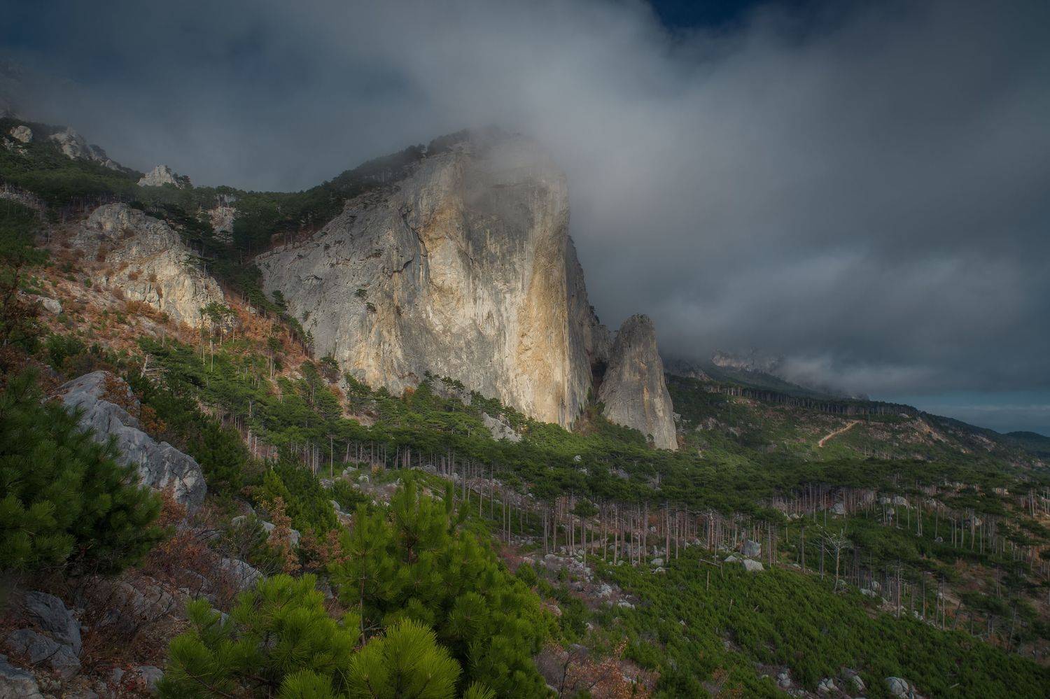 крым, пейзаж, алупка, шаан-кая, осень, лес, crimea, landscape, autumn, Дмитренко Екатерина