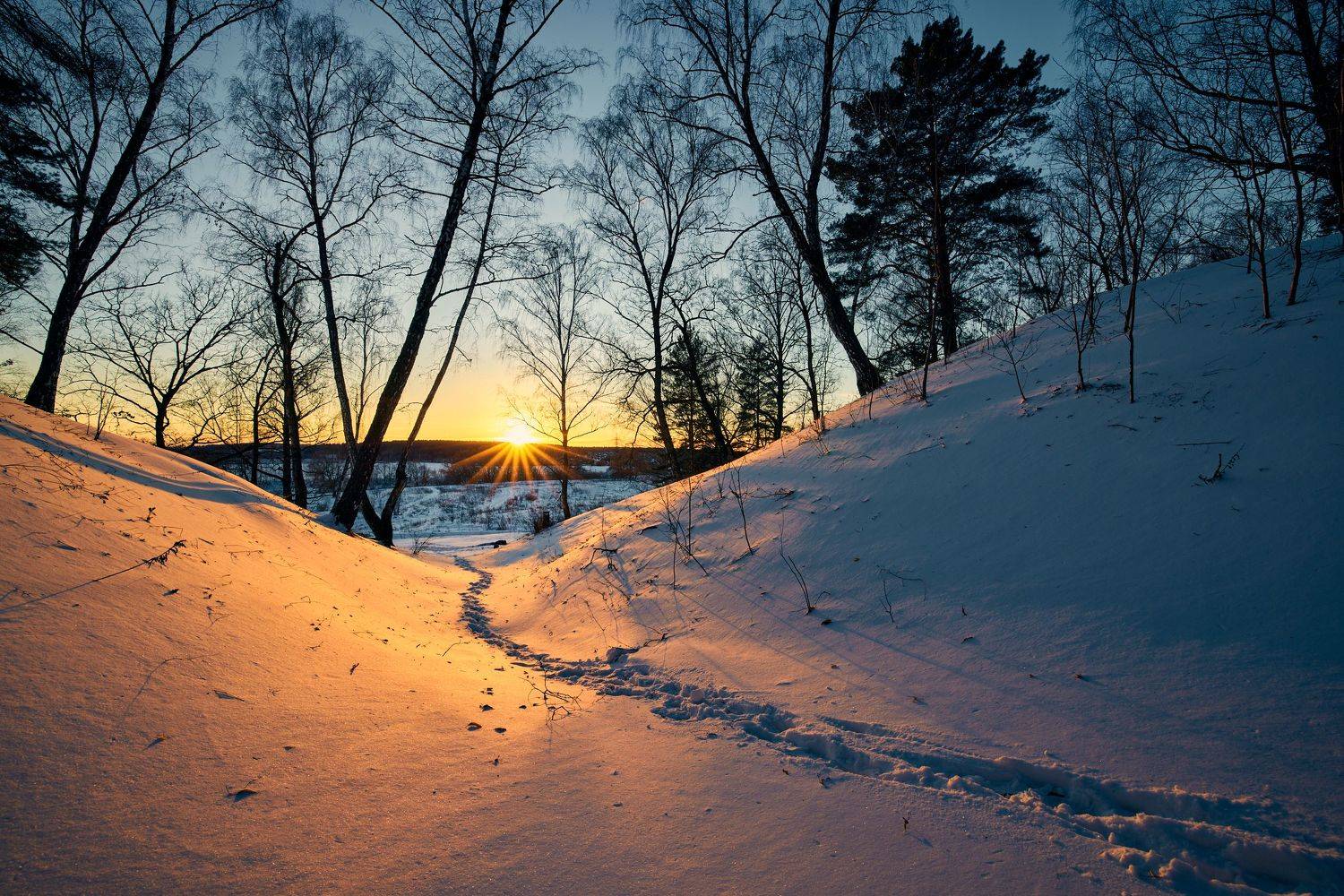 , Дмитрий Дыбов