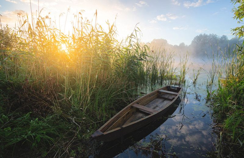 Утро 1 августа фото превью