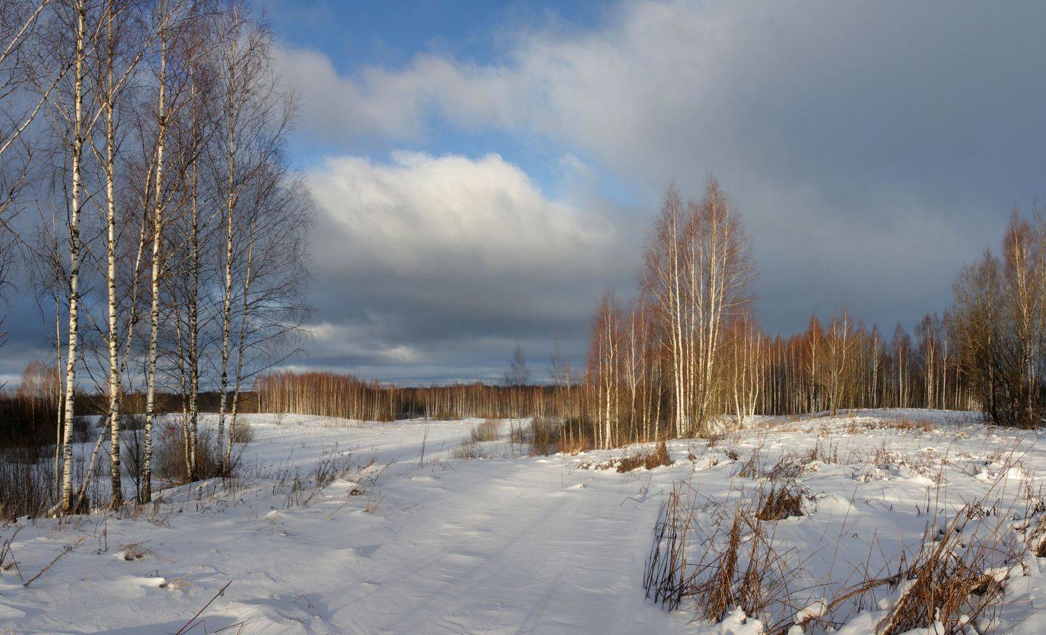 зима , поле , лес, Александр Свистков