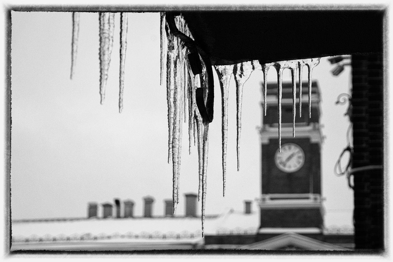 , Марина Никифорова