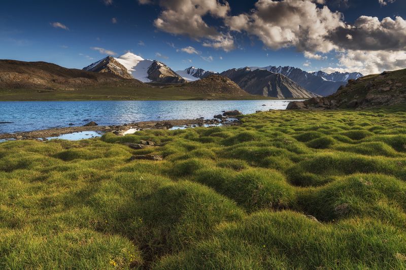 горы, тянь-шань, киргизия, арабель Летний вечер на плато Арабель фото превью