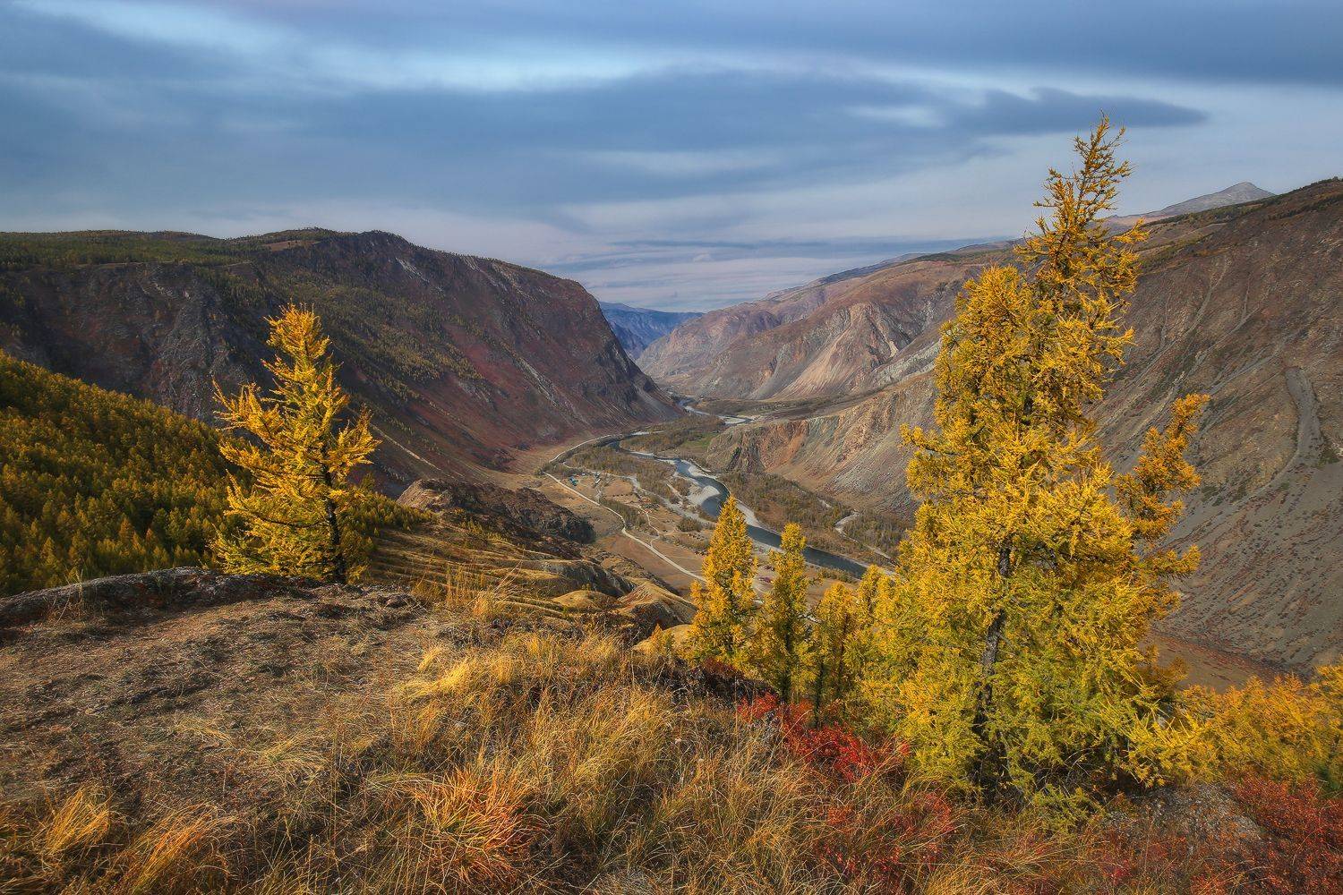 Алтай, Горный Алтай, Республика Алтай, Чулышман, Улаганский район, Сибирь, Галина Хвостенко
