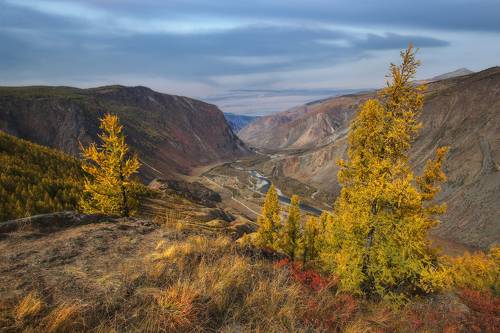 Улаганское нагорье