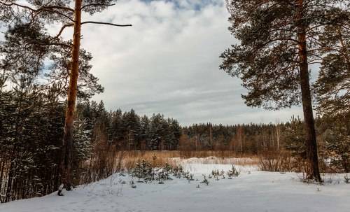 Февральские зарисовки....