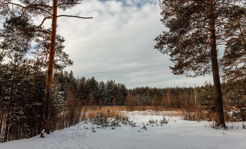 Февральские зарисовки.... фото превью