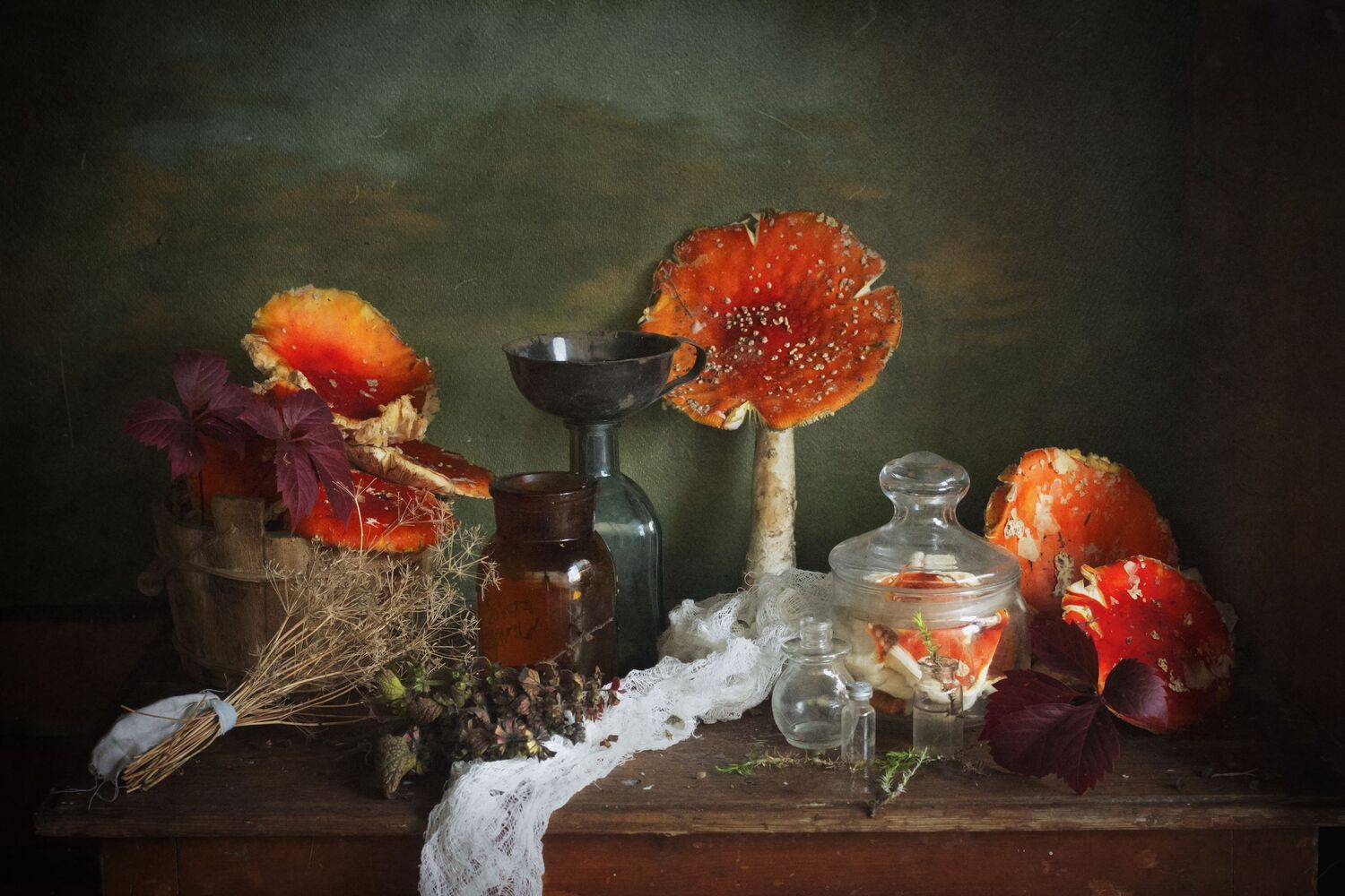 мухомор,баночки, лекарство, натюрморт, Зимина Лионелла