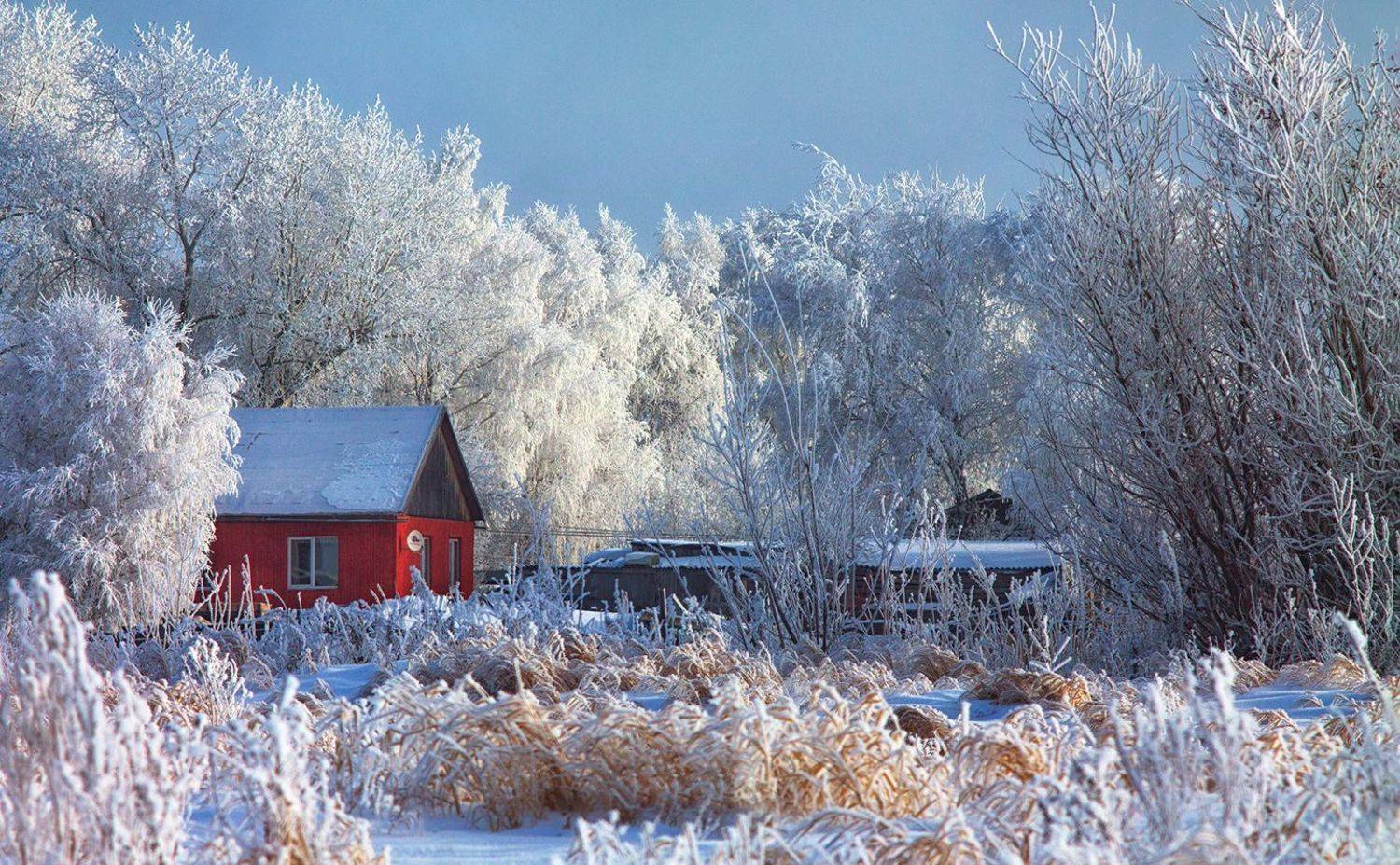 , Алёна Сурнина