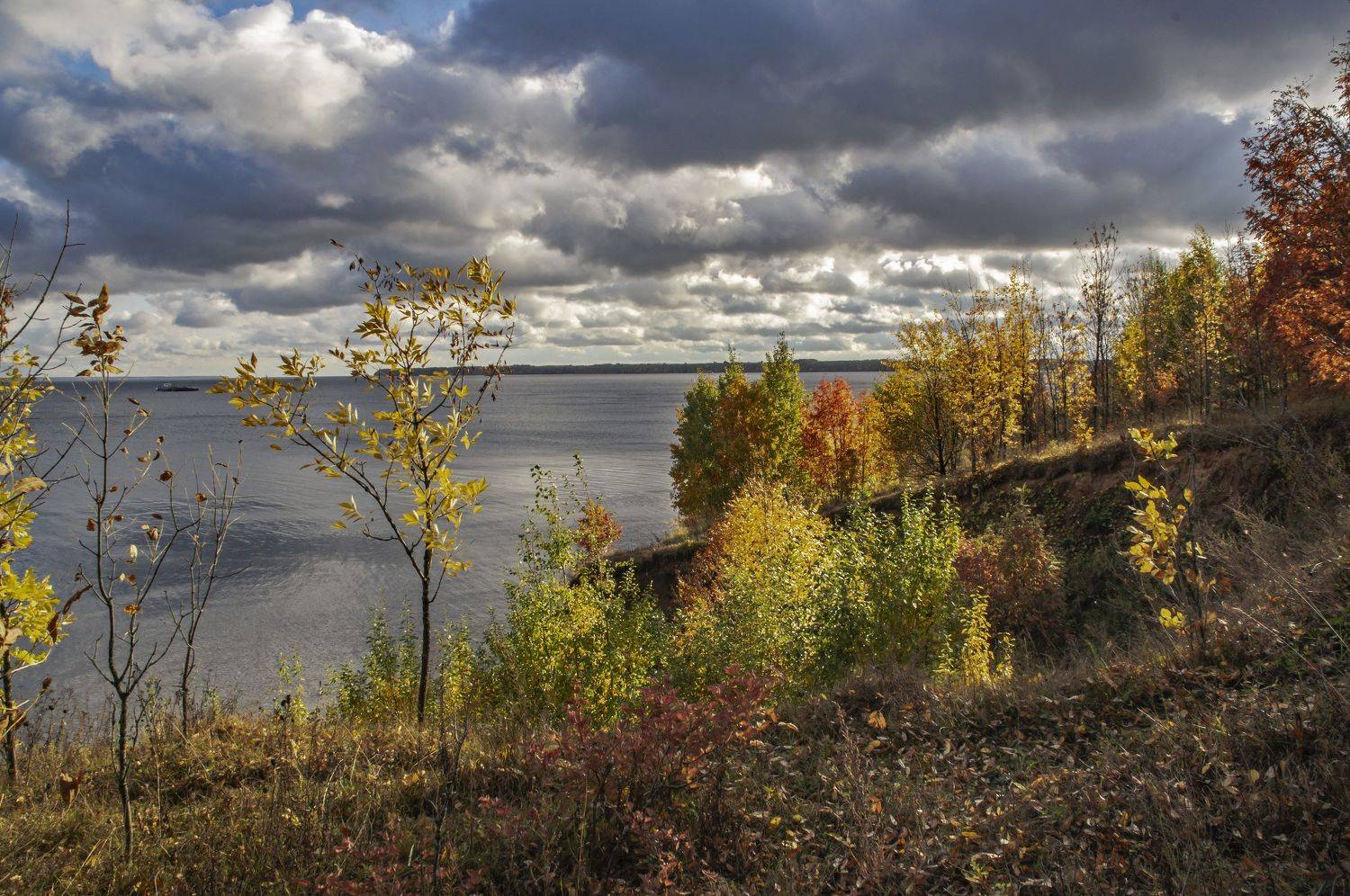 оснеь, Александр Иванович