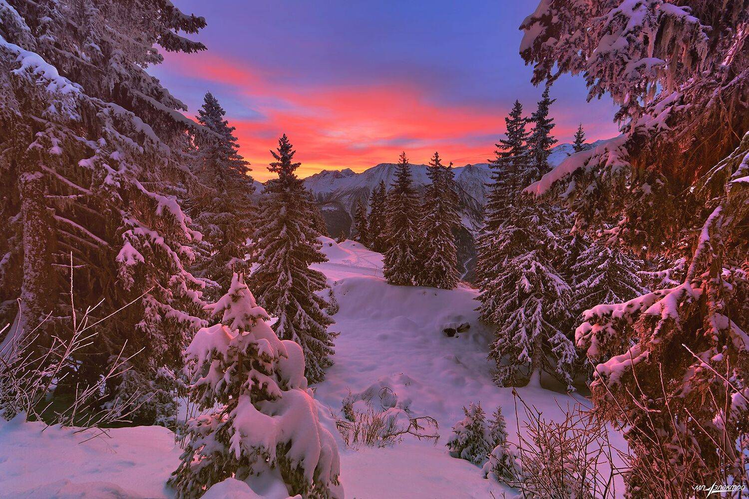 swiss,bettmeralp,зима, Матвеев Николай