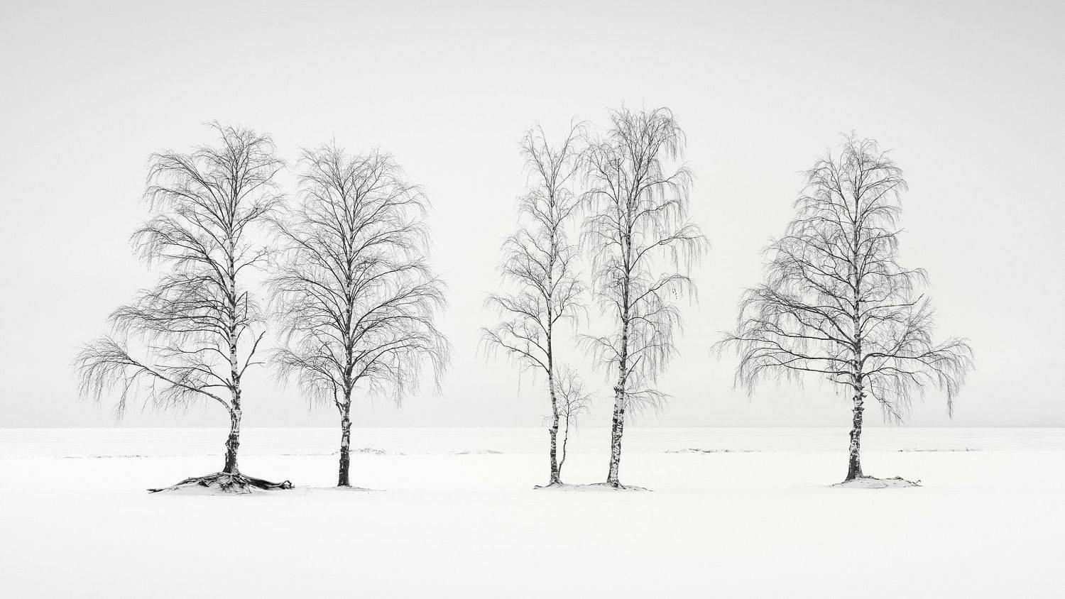 , Сергей Давыдов