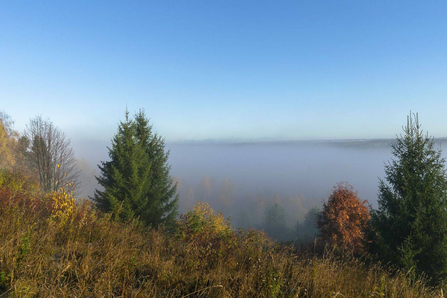 , Галина Луценко