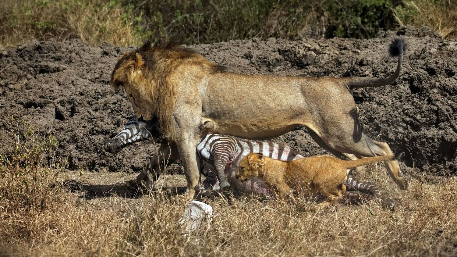 , Александр Перов