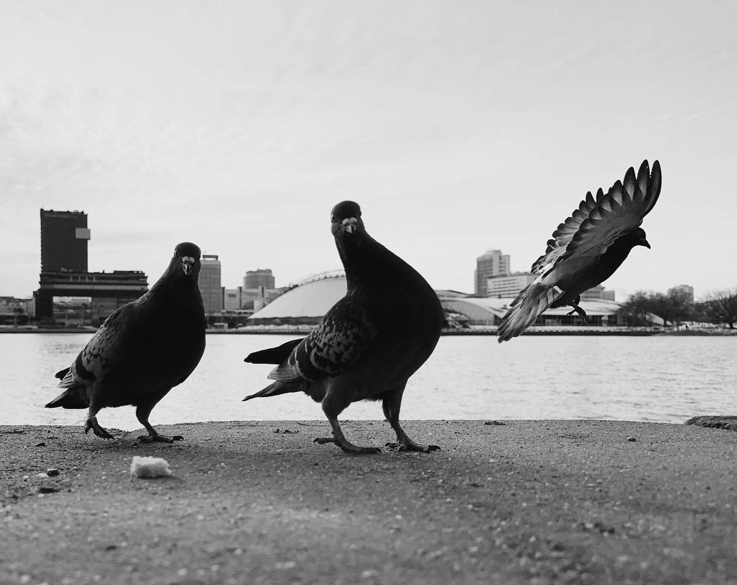 , Karina Aleksandrova