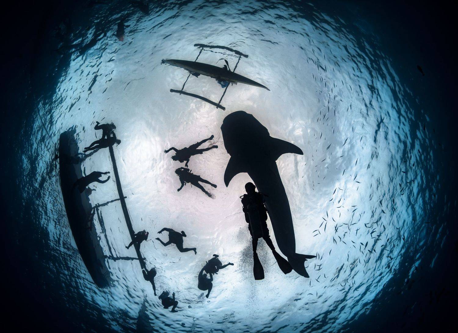 , Савин Андрей