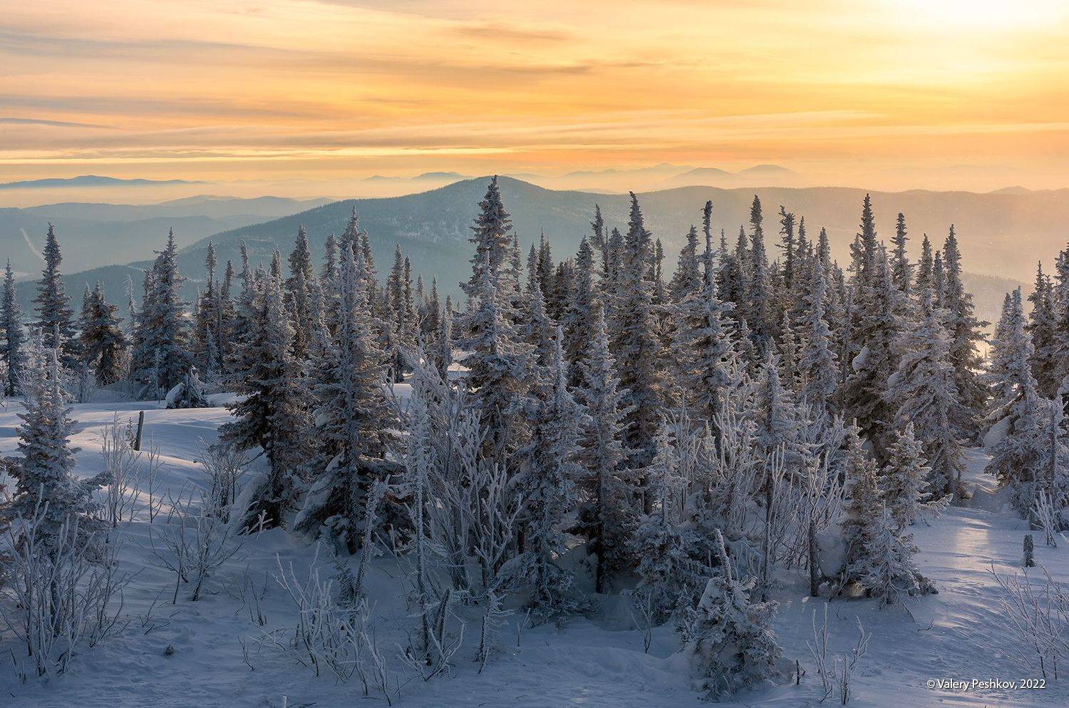 гора зелёная, пихты, утро, шерегеш, горная шория, сибирь, Пешков Валерий