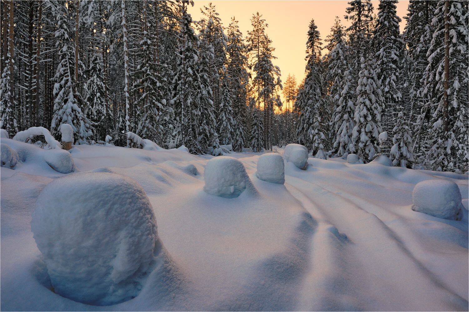 , Анатолий Гулин