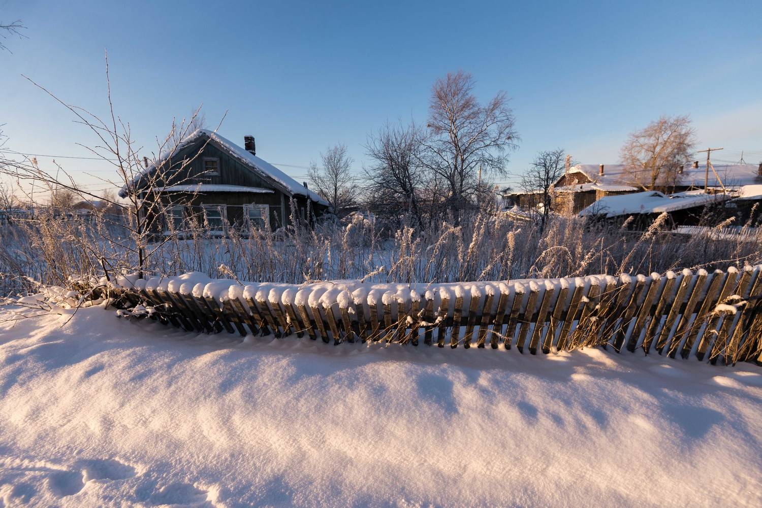 , Чепрасова Мария
