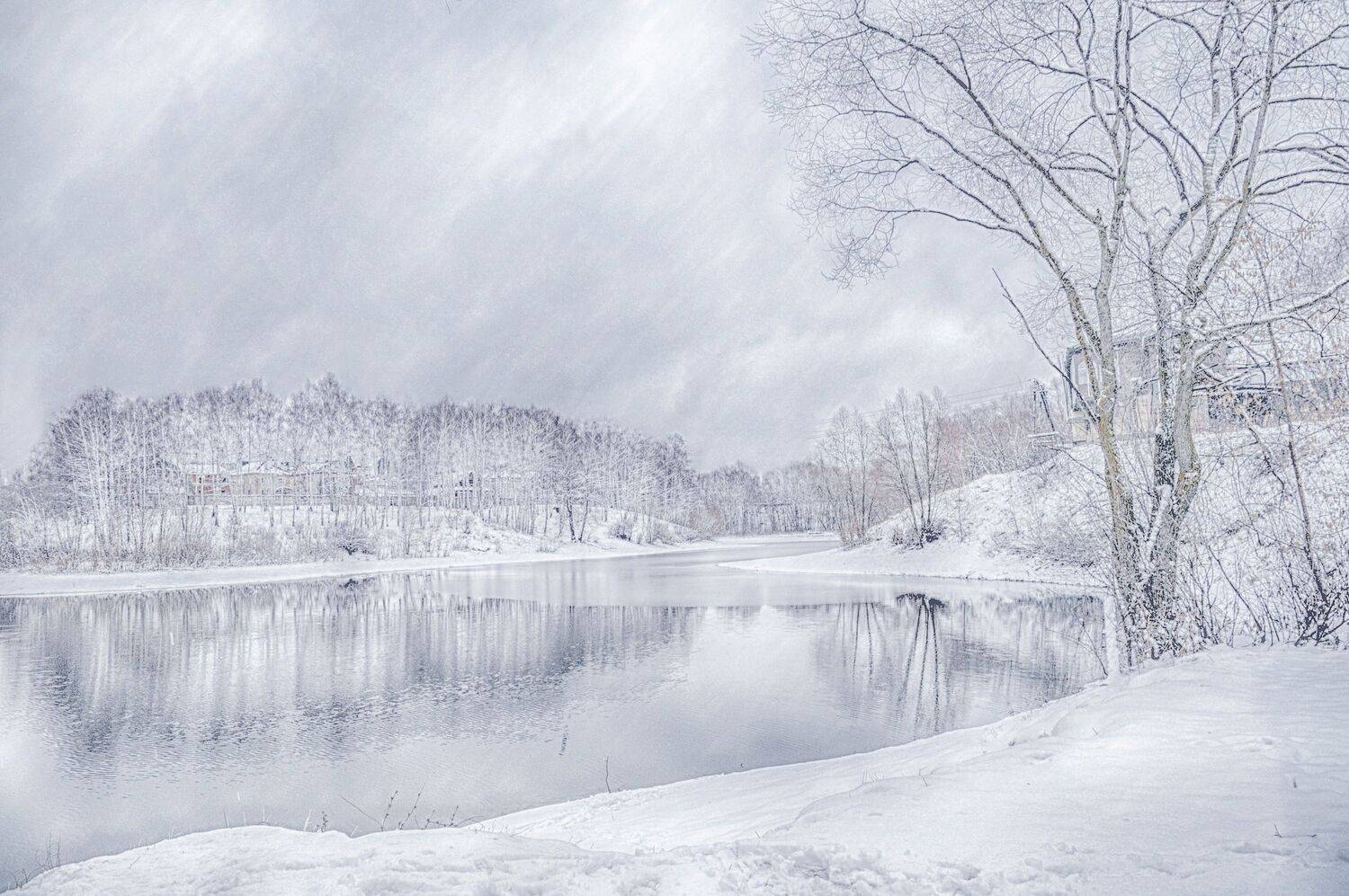 деревья пруд метель, Вера Петри