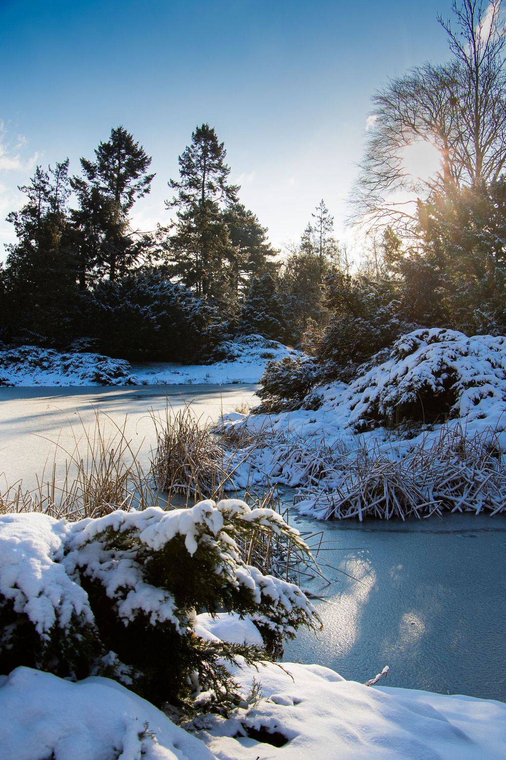 , Жорнова Светлана