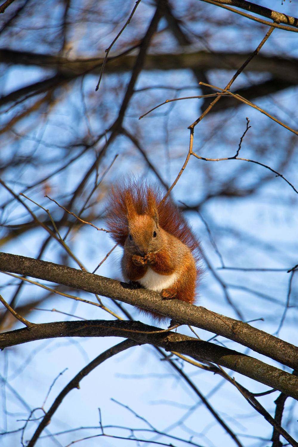 , Жорнова Светлана