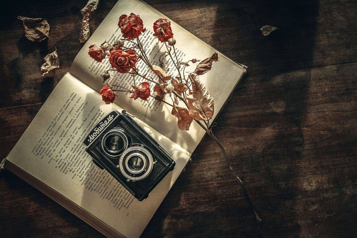 , Рут Андрей