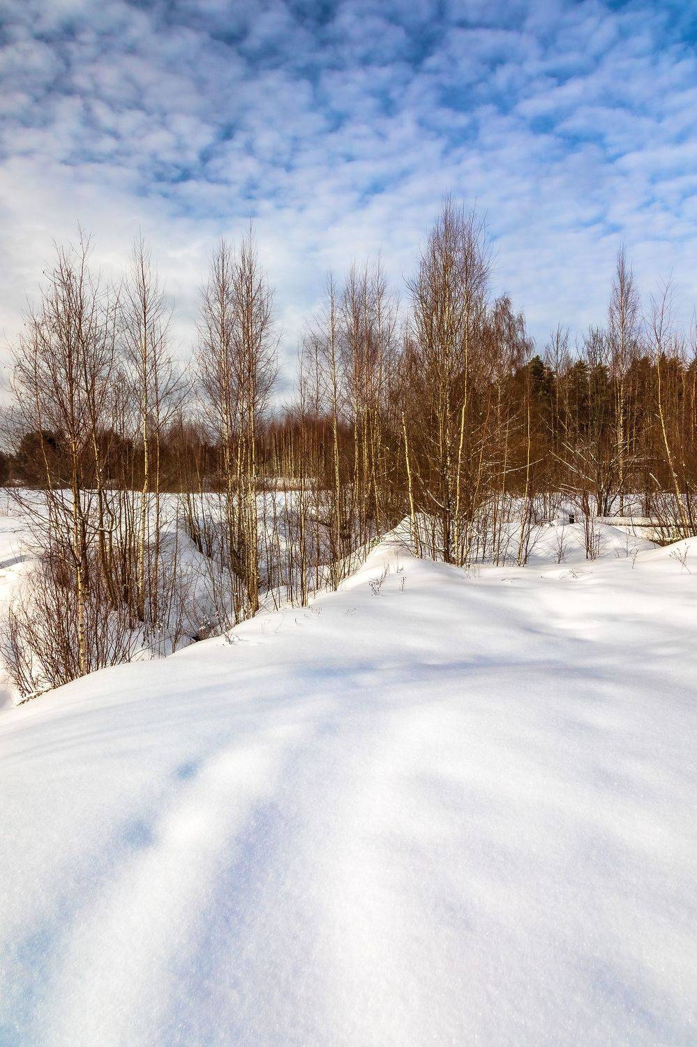 , Игнатьев Александр