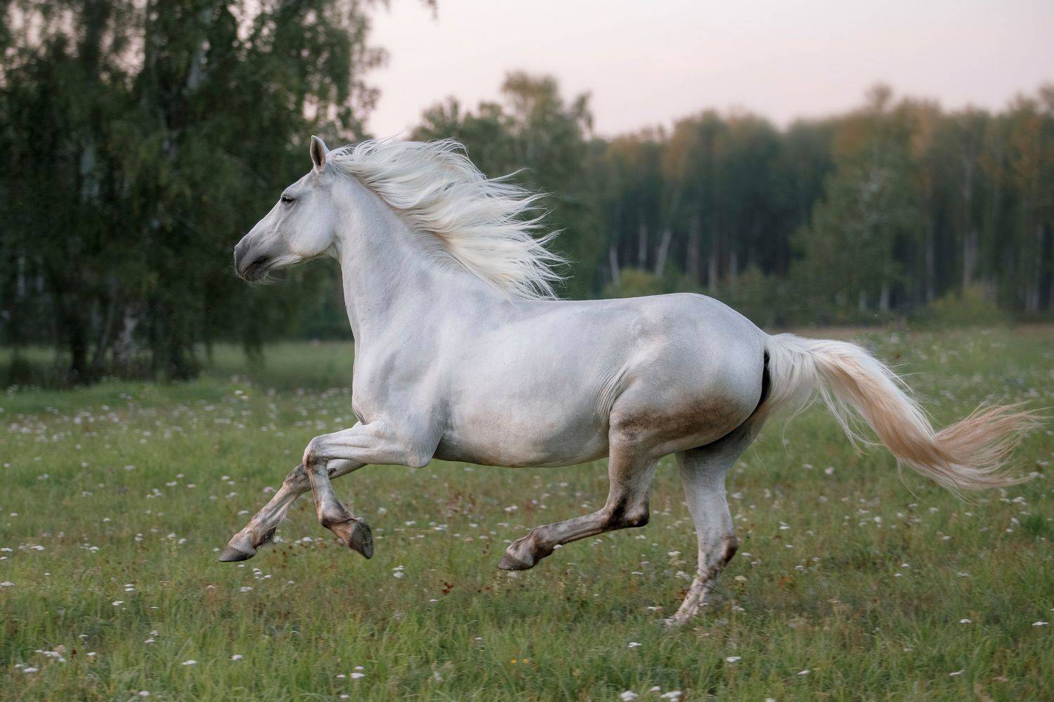 , Олеся Евгеньевна