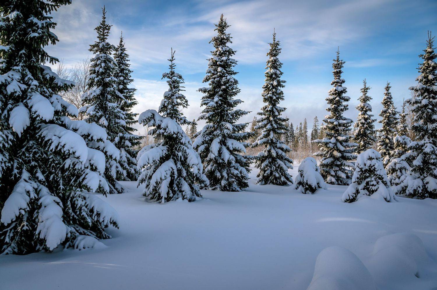 , Васильев Андрей