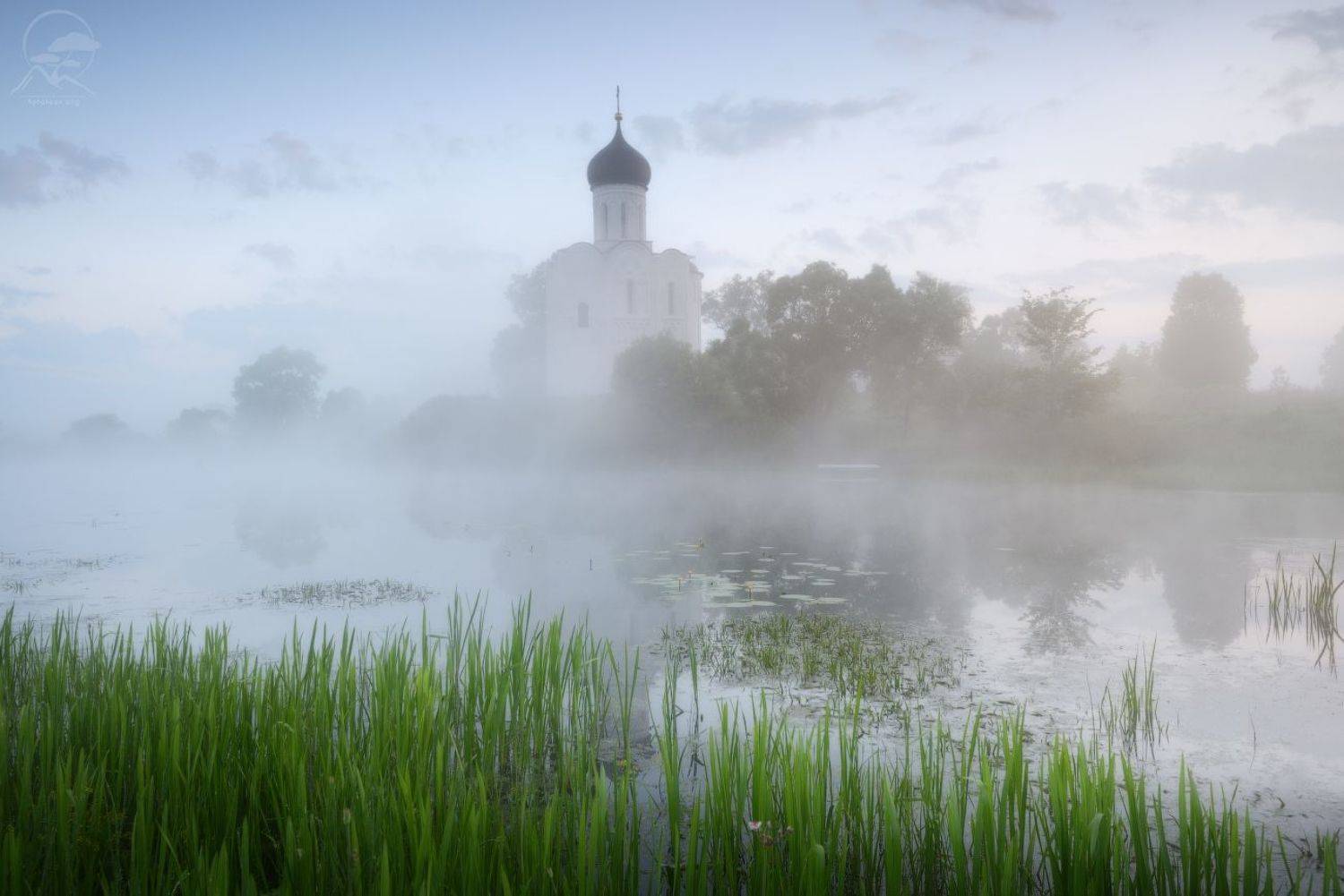 покрова на нерли, боголюбово, фототуры выходного дня, храм, лето, туман, Anatoly Gordienko