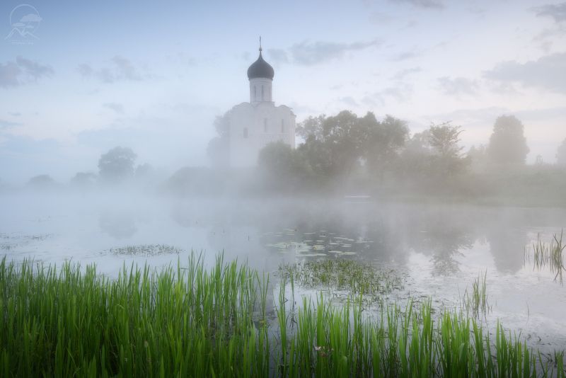 покрова на нерли, боголюбово, фототуры выходного дня, храм, лето, туман Магия тумана фото превью
