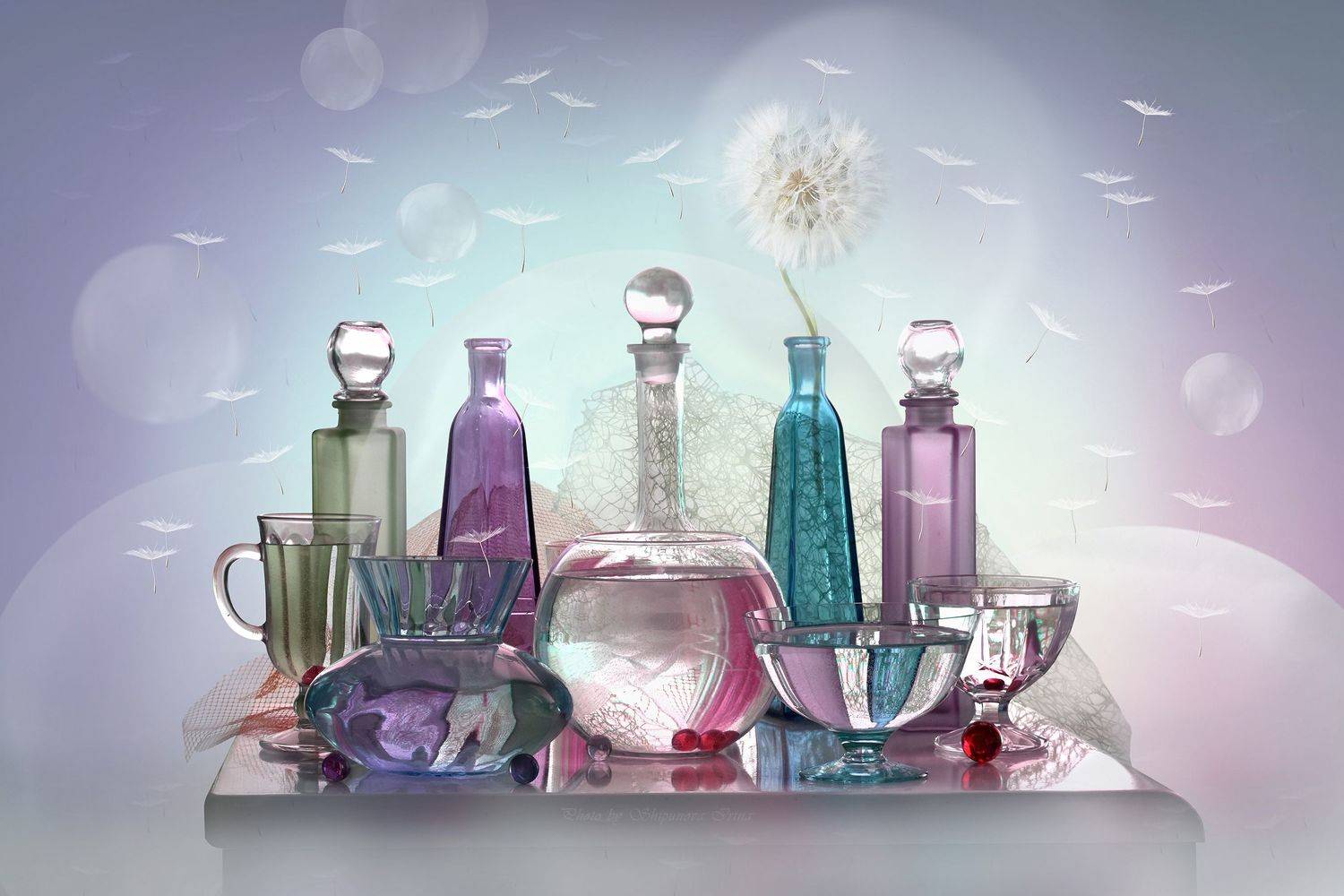 , Шипунова Ирина