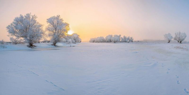 у села  камышово БЕЛОЕ  БЕЗМОЛВИЕ фото превью