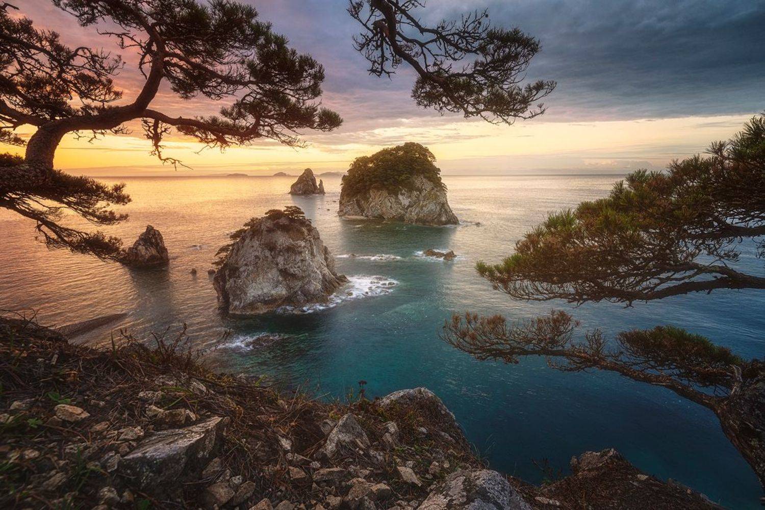 россия приморский край морской заповедник сосны осень трава рассвет море свет пейзаж природа фототур кекуры бакланьи мыс сосновый, Дмитрий Подкопаев