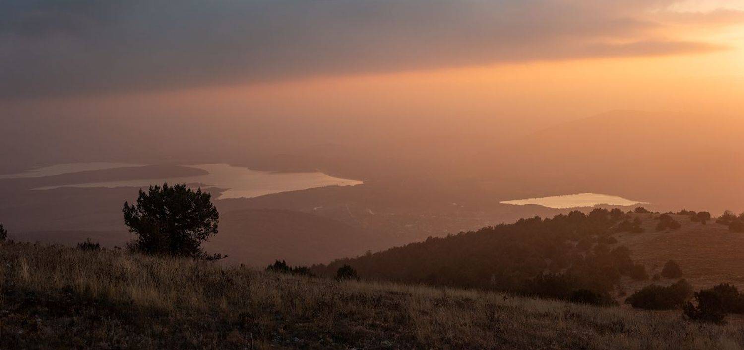 , Андрей Гусаченко