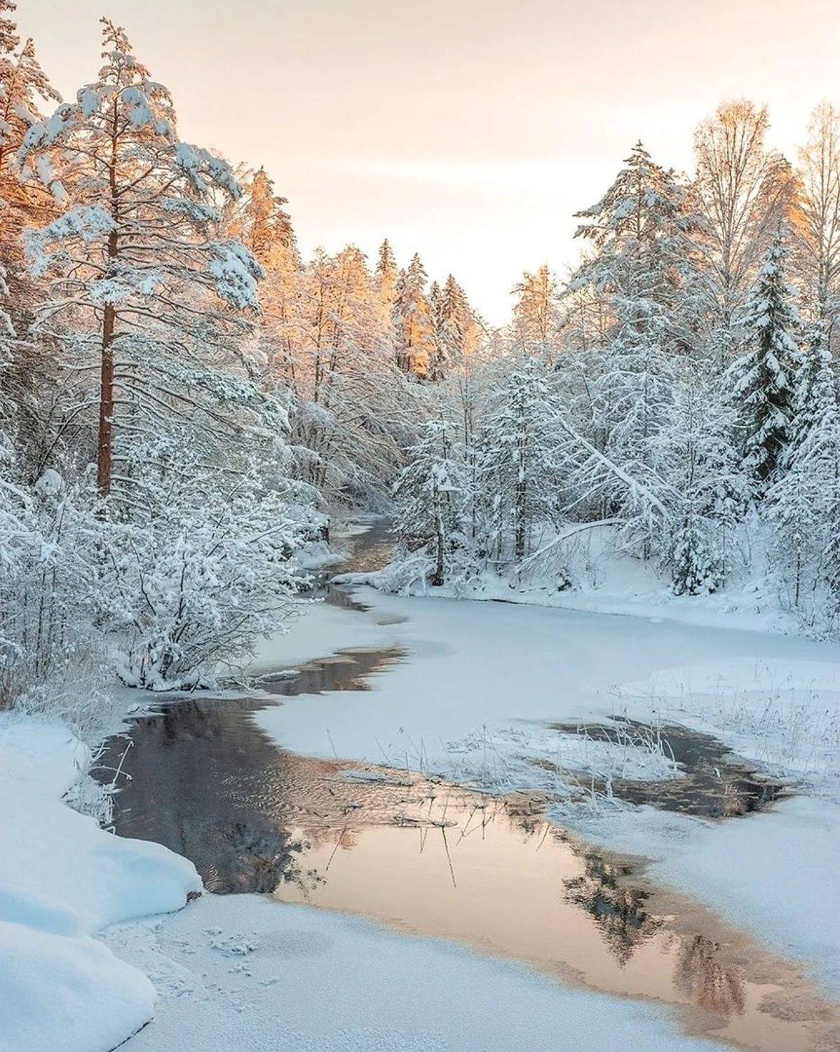 , Петр Косых